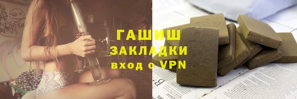 хмурый Алзамай
