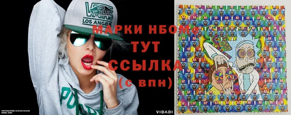 хмурый Алзамай