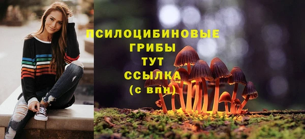 хмурый Алзамай