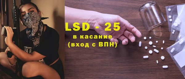 хмурый Алзамай