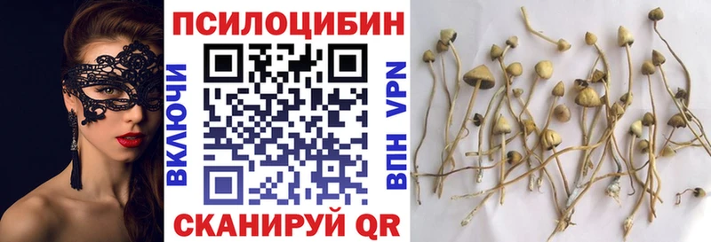 Псилоцибиновые грибы мухоморы  KRAKEN ТОР  shop формула  Среднеколымск 